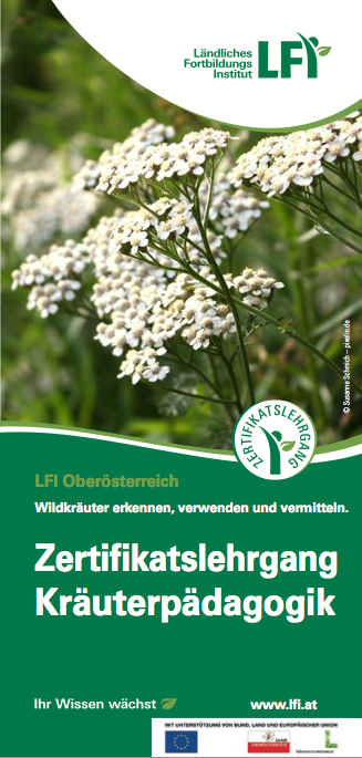 Start_Ausbildung