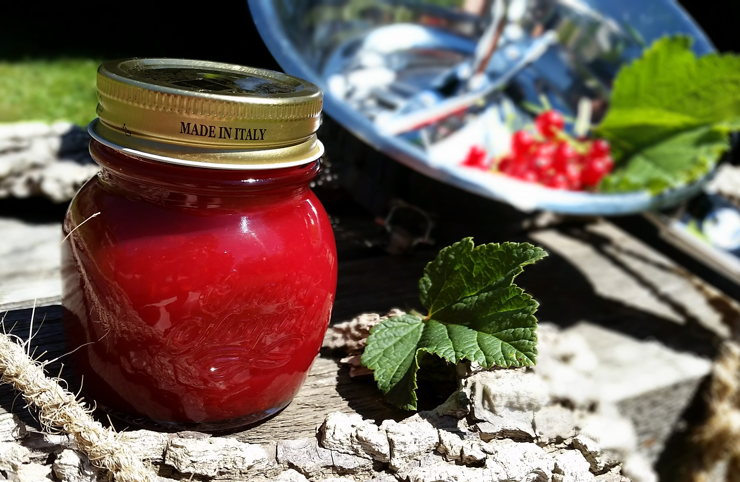 frechundwild-ribisel-cumberland