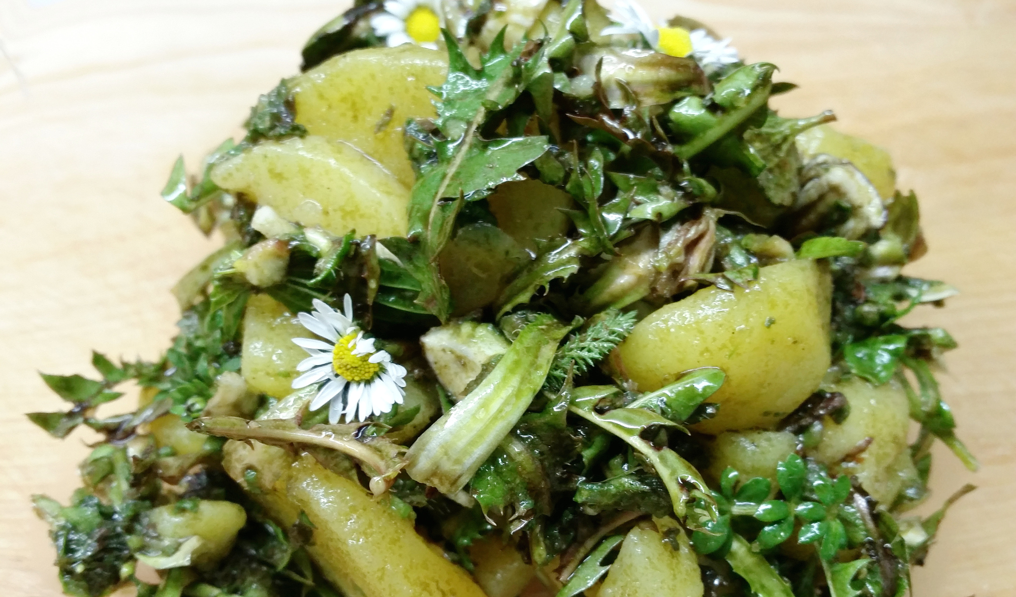 frechundwild_wildkraeutersalat_fertig