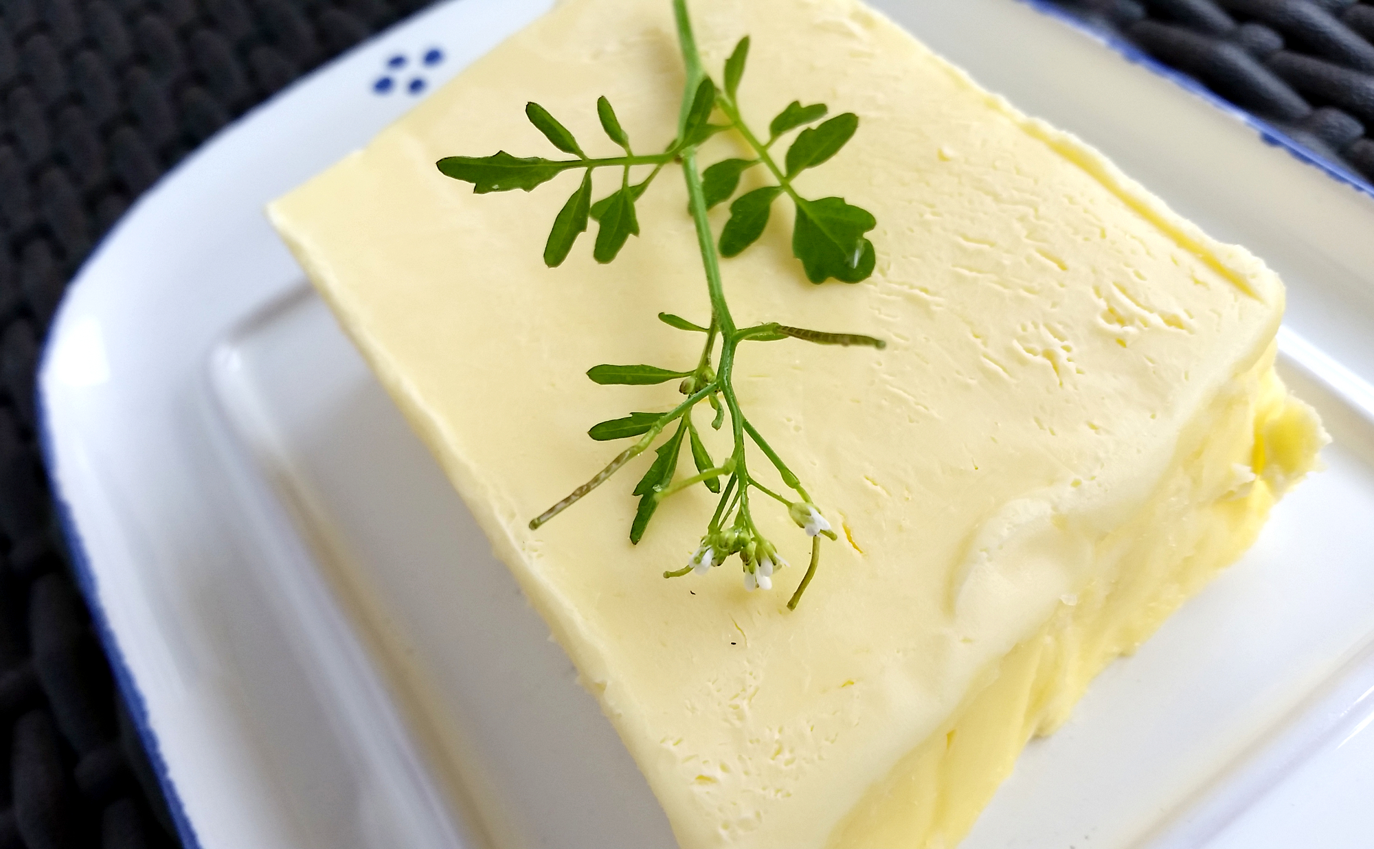 frechundwild_maibutter